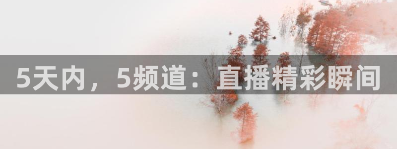 5天内，5频道：直播精彩瞬间