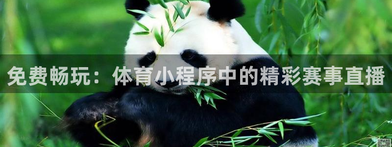 免费畅玩：体育小程序中的精彩赛事直播