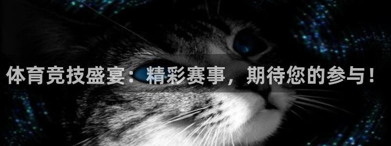 体育竞技盛宴：精彩赛事，期待您的参与！