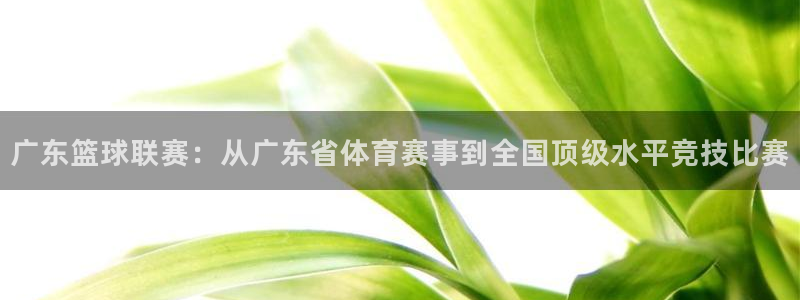 广东篮球联赛：从广东省体育赛事到全国顶级水平竞技比赛