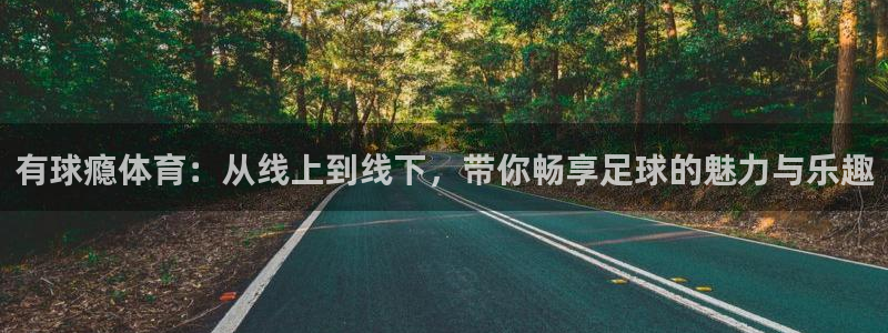 有球瘾体育：从线上到线下，带你畅享足球的魅力与乐趣