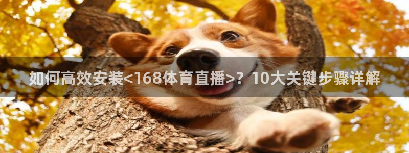 如何高效安装<168体育直播>？10大关键步骤详解
