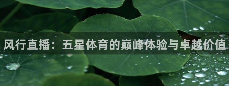风行直播：五星体育的巅峰体验与卓越价值