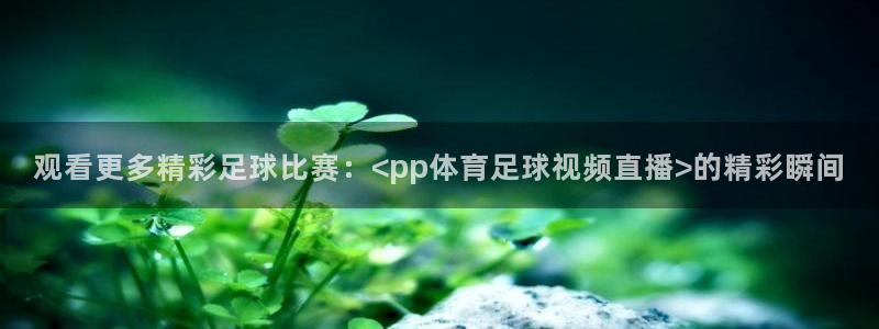 观看更多精彩足球比赛：<pp体育足球视频直播>的精彩瞬间